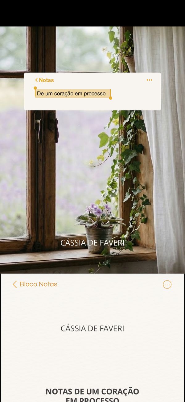 Ebook aberto em um celular: a capa ocupa a tela e logo abaixo começa a página com o nome da autora e o título.